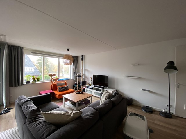 Foto 4: Geldrop - Nieuwendijk - Foto 4