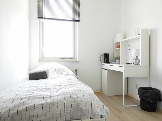 Foto 2: Zoetermeer - Zuidwijkstraat - Foto 2