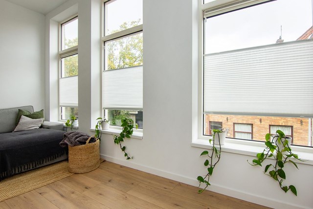 Foto 6: Haarlem - Leidsestraat - Foto 6