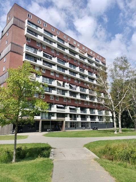 Foto 1: Hengelo (OV) - Jan Wiegersstraat - Foto 1