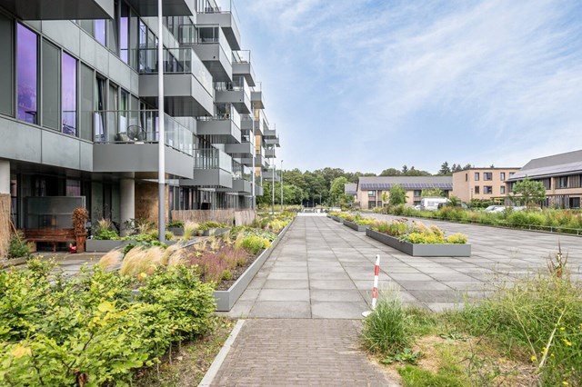 Foto 2: Eindhoven - Grenenhout - Foto 2