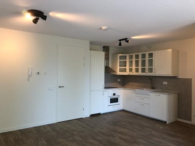 Foto 4: Velserbroek - H Reptonstraat - Foto 4