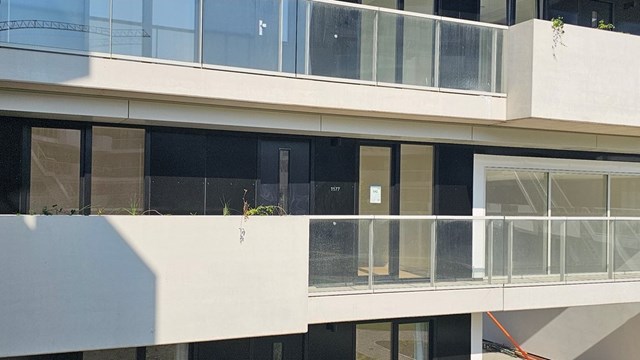 Foto 5: Rotterdam - Rosestraat - Foto 5