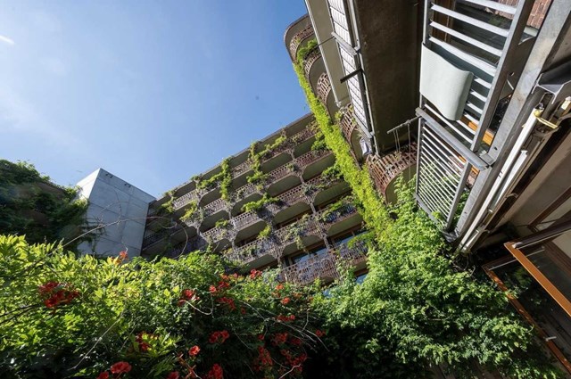 Foto 5: Amsterdam - Hamerstraat - Foto 5