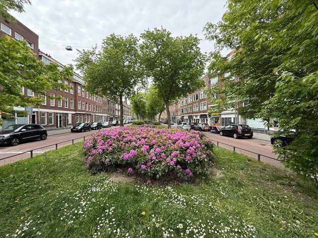 Foto 2: Rotterdam - Polderlaan - Foto 2