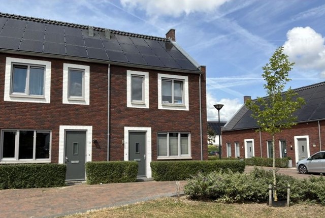 Foto 2: Vlijmen - Ranonkel - Foto 2