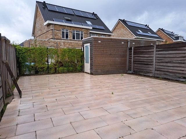 Foto 3: Hendrik-Ido-Ambacht - Aalscholver - Foto 3