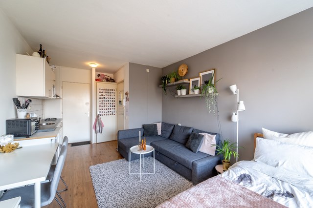 Foto 4: Groningen - Populierenlaan - Foto 4