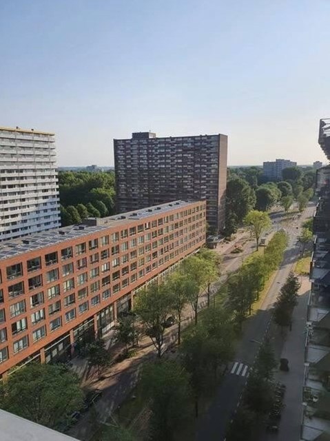 Foto 6: Delft - Martinus Nijhofflaan - Foto 6