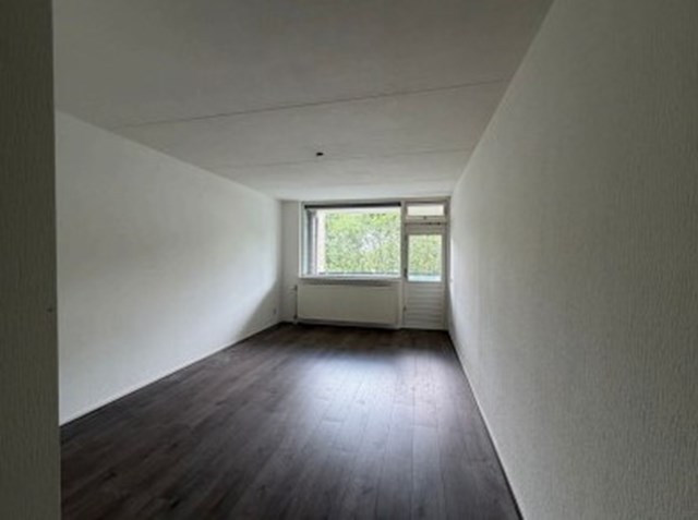 Foto 3: Diemen - Zeezigt - Foto 3