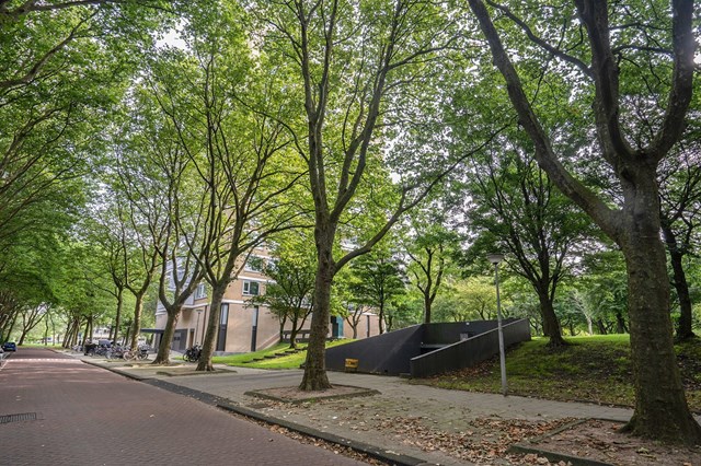 Foto 4: Amsterdam - Staalmeesterslaan - Foto 4