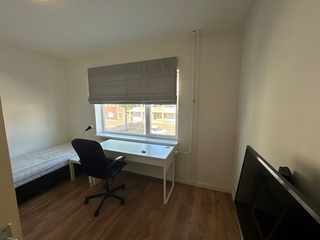 Foto 1: Eindhoven - Tongelresestraat - Foto 1
