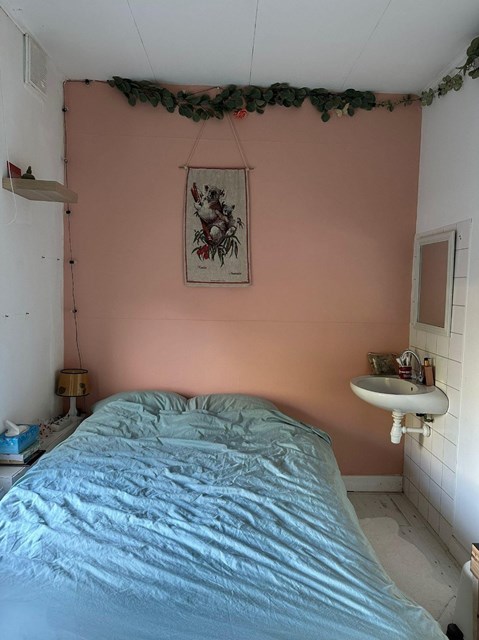 Foto 1: Breda - Baronielaan - Foto 1