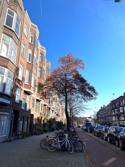 Foto 2: Rotterdam - Beukelsweg - Foto 2