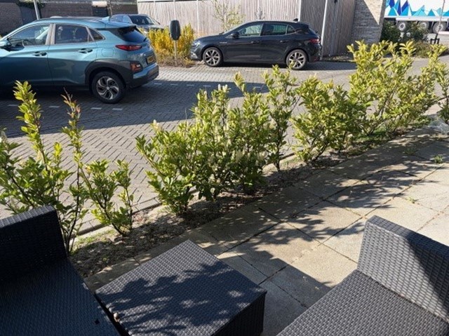 Foto 6: Alkmaar - Muiderwaard - Foto 6
