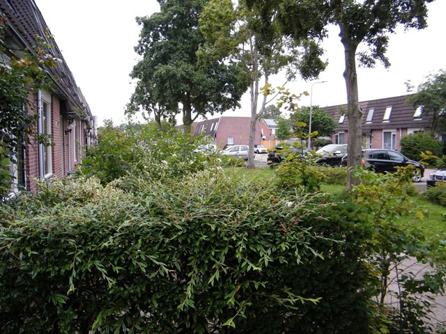 Foto 4: Almelo - De Hop - Foto 4