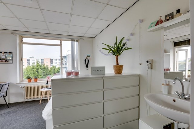 Foto 4: Utrecht - Van Heuven Goedhartlaan - Foto 4