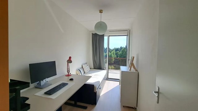 Foto 5: Eindhoven - Meergras - Foto 5