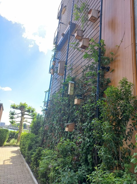 Foto 2: Rotterdam - Persoonsdam - Foto 2