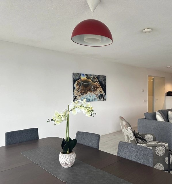 Foto 3: Rotterdam - Gedempte Zalmhaven - Foto 3