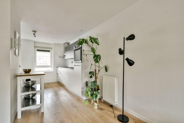 Foto 5: Amsterdam - Hofgeest - Foto 5
