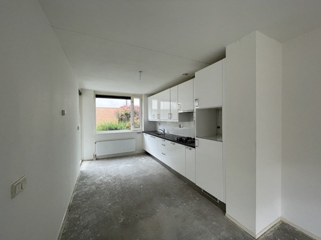 Foto 2: Amersfoort - Hugo de Vries Serre - Foto 2