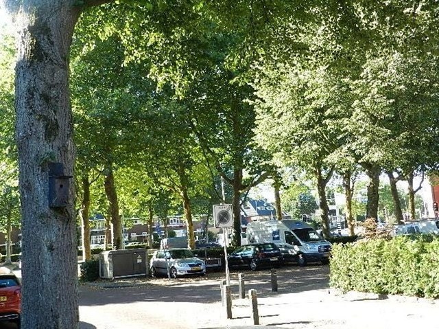 Foto 2: Heemstede - Drieherenlaan - Foto 2