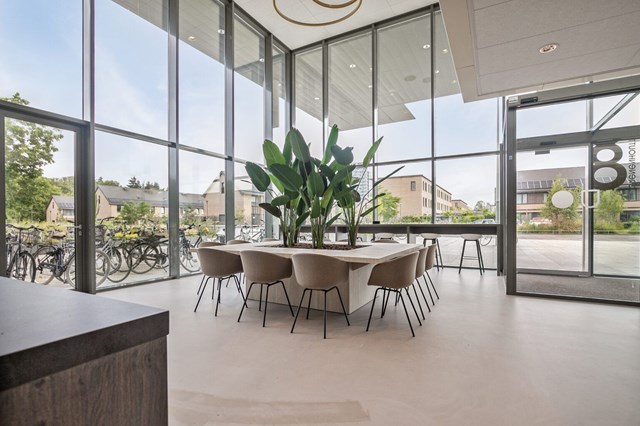 Foto 3: Eindhoven - Grenenhout - Foto 3