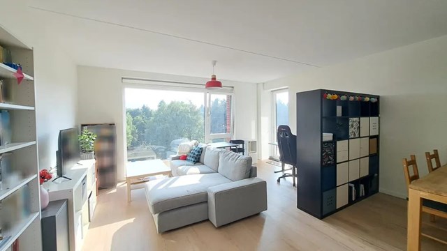 Foto 3: Eindhoven - Meergras - Foto 3