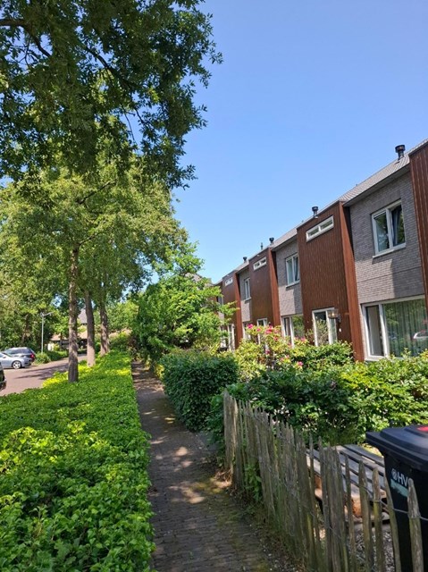 Foto 2: Bergen (NH) - Wijzend - Foto 2