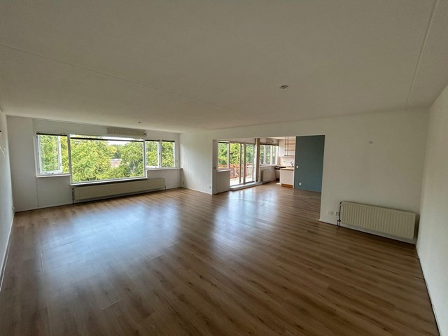 Foto 7: Zeist - Bachlaan - Foto 7