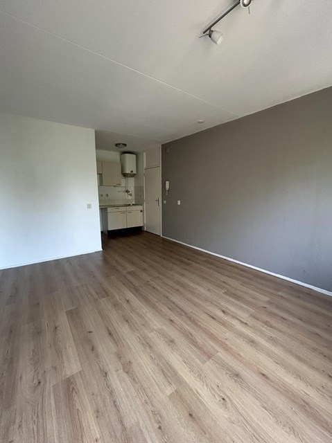 Foto 5: Rotterdam - Adriaen van der Doeslaan - Foto 5