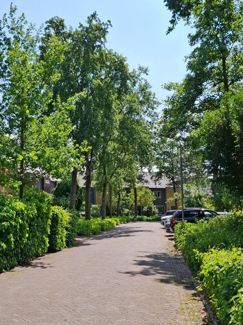 Foto 4: Bergen (NH) - Wijzend - Foto 4