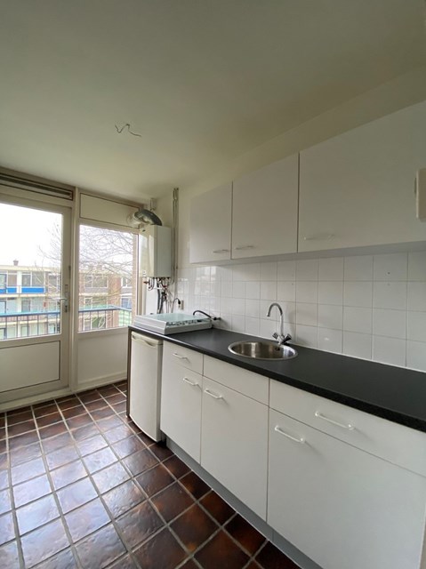 Foto 4: Rotterdam - Ruigenhoek - Foto 4