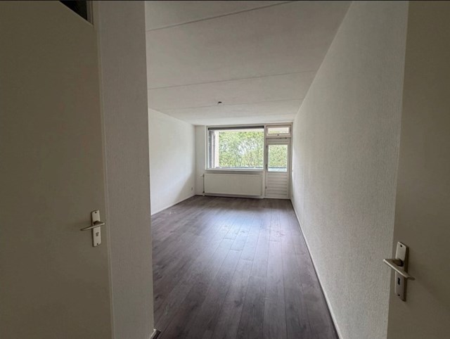 Foto 3: Diemen - Zeezigt - Foto 3