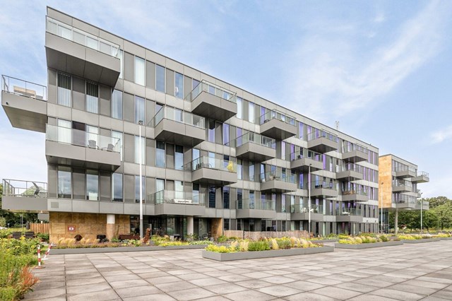 Foto 1: Eindhoven - Grenenhout - Foto 1