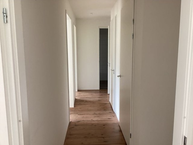 Foto 5: Eindhoven - Grenenhout - Foto 5