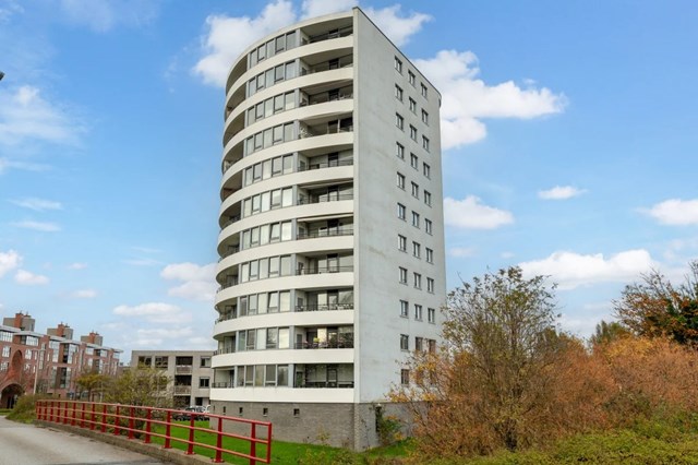 Foto 1: Leiden - Tine van Dethstraat - Foto 1