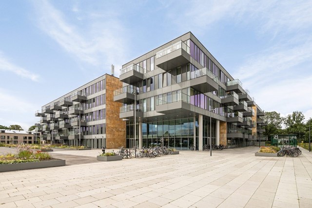 Foto 1: Eindhoven - Grenenhout - Foto 1