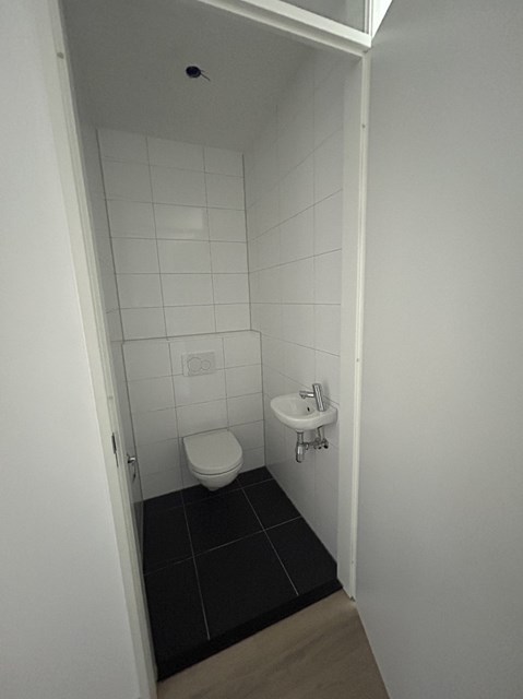 Foto 2: Eindhoven - meergras - Foto 2