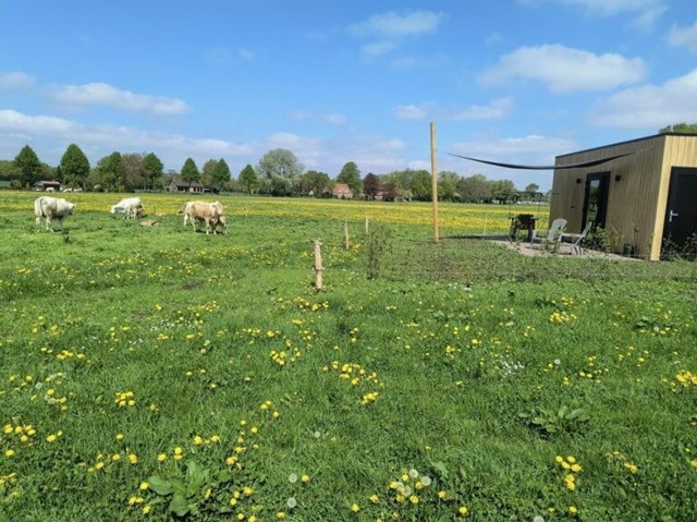 Foto 2: Schijf - De Berg - Foto 2