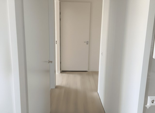 Foto 4: Eindhoven - Grenenhout - Foto 4