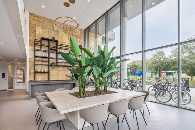 Foto 2: Eindhoven - Grenenhout - Foto 2