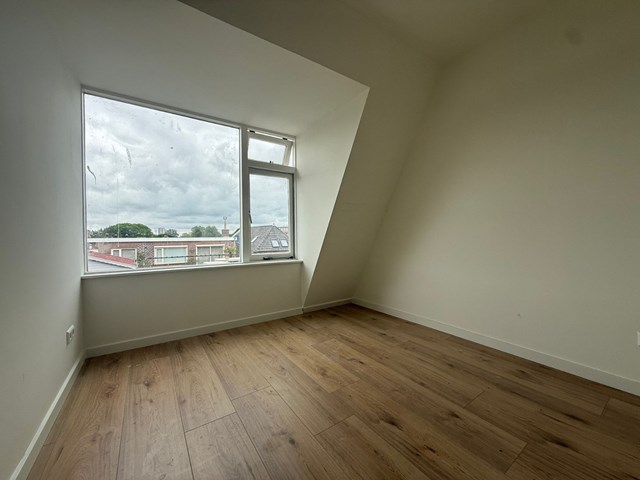 Foto 7: Leiden - Hoge Rijndijk - Foto 7