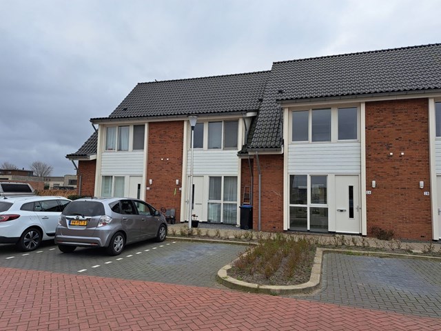 Foto 1: Boskoop - Suikerpeer - Foto 1