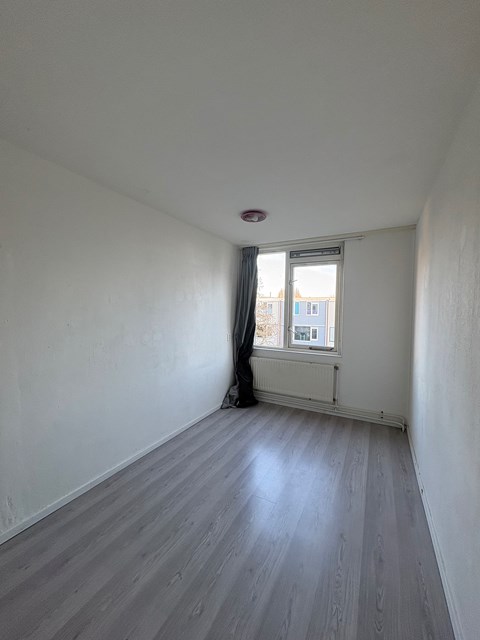 Foto 3: Zwolle - Noord - Foto 3