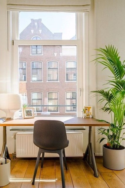 Foto 5: Amsterdam - Eerste Boerhaavestraat - Foto 5