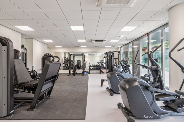 Foto 3: Eindhoven - Grenenhout - Foto 3