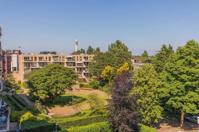 Foto 5: Haarlem - Mariettahof - Foto 5