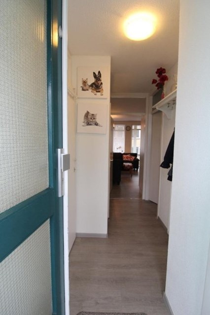 Foto 3: Nieuwegein - Hoornseschans - Foto 3